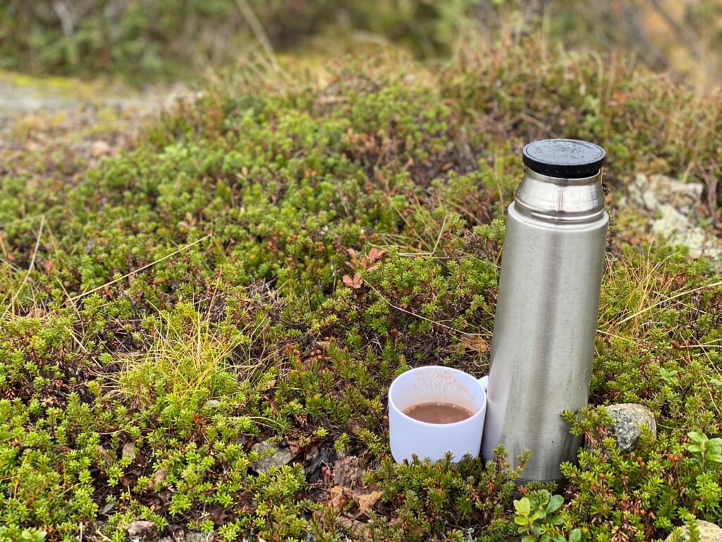 En termos og en hvit kopp med kakao, stående i lyngen på fjellet på Beitostølen.