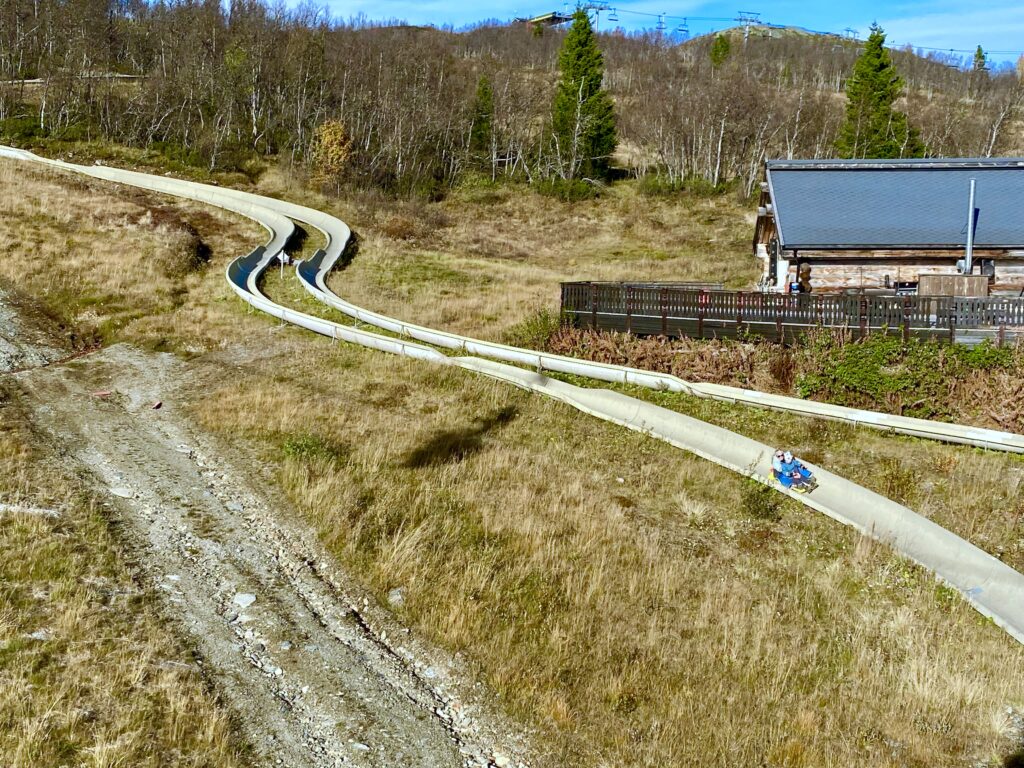 Bobbane i høstnatur, nedover bakken på Beitostølen.